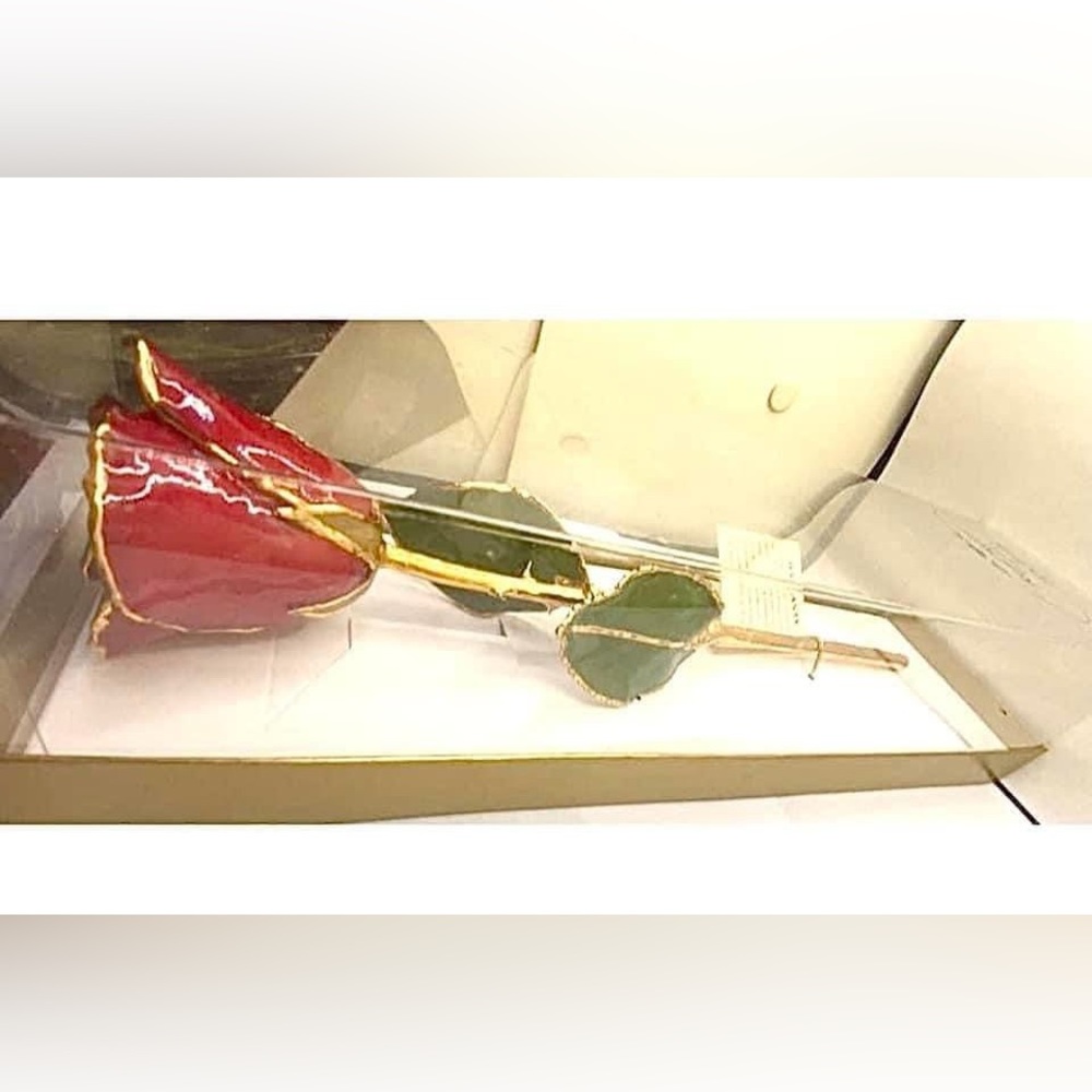 Nib Vintage Stock 24k Gold Dipped Real Red Long S… - image 3